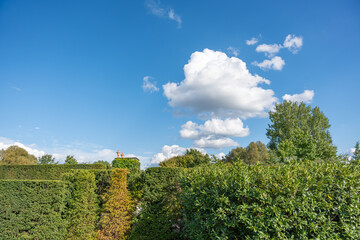A clear blue sky with large clouds over hedges and trees. A touch of autumn color contrasts the...