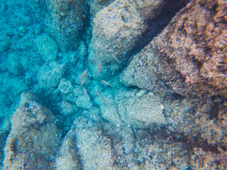 A dramatic underwater seascape of a rocky ocean floor with beautiful sun rays shining through the deep blue crystal-clear water.