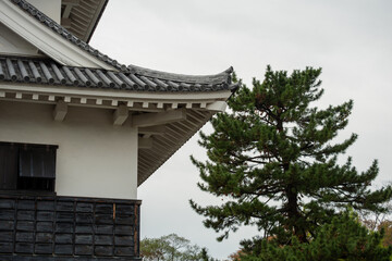 城の軒先と松の木