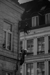 LILLE - PHOTO DE RUE