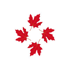 Red Maple Leaves Clipart, Four Autumn Leaves in Circular Arrangement