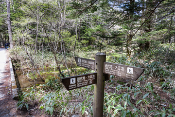 Hiking directional signage in Kamikochi park in Central Japan to Tashiro-ike pond, Tashiro bashi bridge and Kappa bashi bridge.