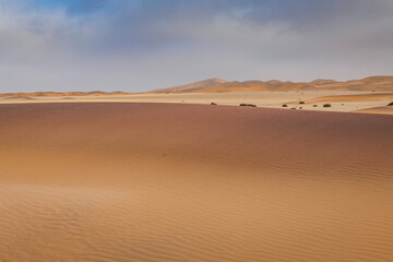 Dune and desert landscape near Swakopmund