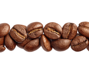 Coffee bean harvesting process coffee farm food nature freshness