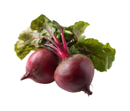 Harvesting fresh beetroots organic farm food nature