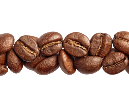 Coffee bean harvesting process coffee farm food nature freshness