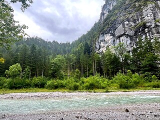 Scenic view of clear alpine river and rocky mountain cliff in Nationalpark Gesäuse, Austria. Peaceful green nature landscape for travel, wilderness and adventure themes.