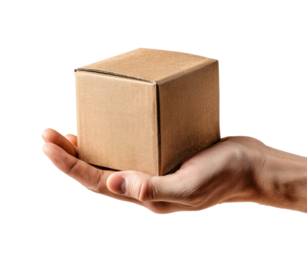 Delivery action handing over a package view