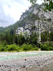Beautiful clear mountain river surrounded by lush green forest in Nationalpark Gesäuse, Austria. Peaceful alpine nature landscape with fresh water, trees and rocky riverbank under cloudy sky. Perfect 