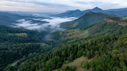 Obraz premium Misty mountain valley at dawn with lush green forests, rolling hills, soft pastel clouds, and an ethereal serene atmosphere, aerial view, copy space on the right