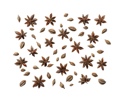 Exploring star anise unique spice patterns on