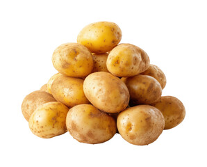 Harvesting fresh potatoes local farm food rural