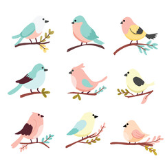 set of collection cute cartoon bird pastel for elements