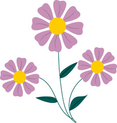 vector illustration of a flower purple daisy 