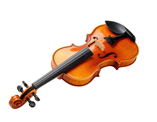 Fototapeta premium A classic violin, warm orange-brown wood, black fittings, angled view
