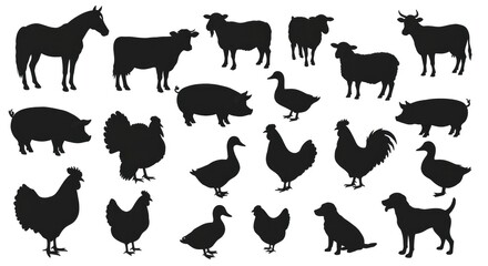 Collection of Various Farm Animal Silhouette Isolated on White Background