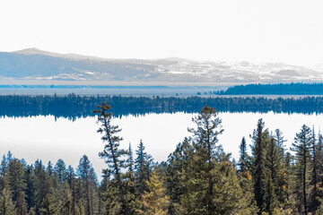 serene view from a mountain overlooking Jenny Lake, Wyoming, USA. Tall evergreen trees (Pinophyta) frame the scene, revealing the glistening, reflective waters of the lake below. 