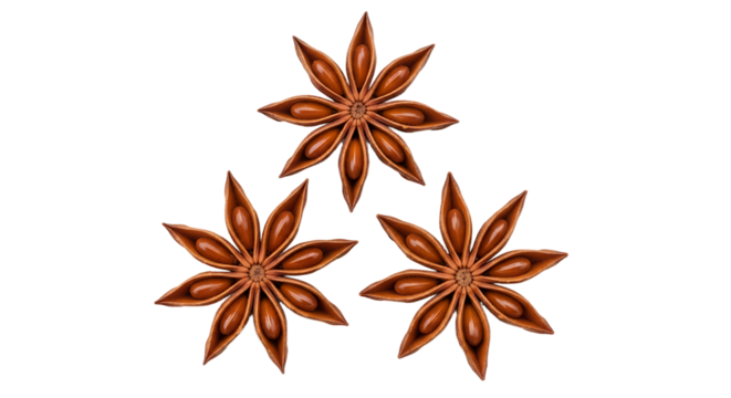 Red bus with flame design driving in a city.