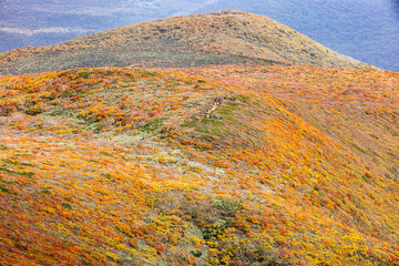 秋色に染まる　栗駒山の絶景