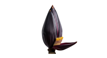 Red bus with flame design driving in a city.