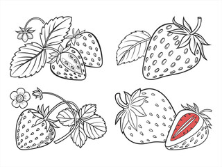 coloring page line art the strawberry black vector bundle