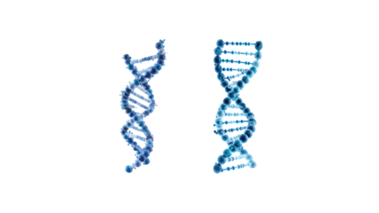 DNA Strand on transparent background png