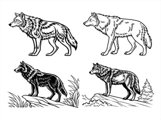 coloring page line art the wolf black vector bundle