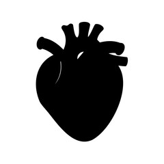 Black silhouette of human heart anatomy showing ventricles and atrium medical illustration