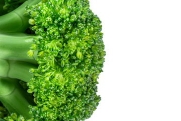 fresh broccoli isolated on white or transparent background, space for text on right