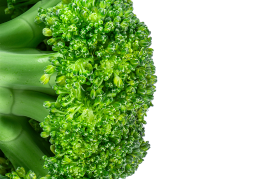 fresh broccoli isolated on white or transparent background, space for text on right