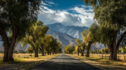 Obraz premium Scenic tree-lined road leads to majestic mountains under a dramatic sky