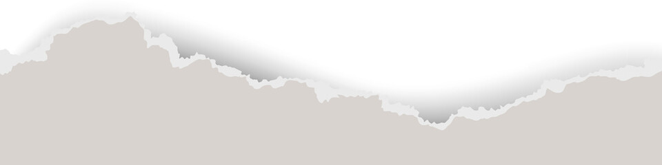 Obraz premium Ripped paper with torn edges. Piece of teared sheet for frame and template design. Textured cutout shape for collage and banner. Rough stripe for scrapbooking.