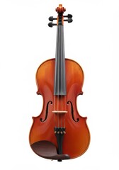 Fototapeta premium Violin craftsmanship in studio setting