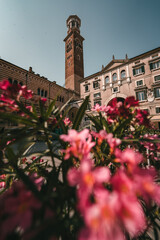 Verona city in italy