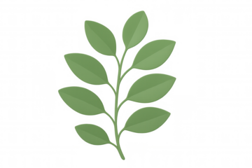 Green leaf sprig branching against transparent backdrop, representing ecological growth and natural harmony