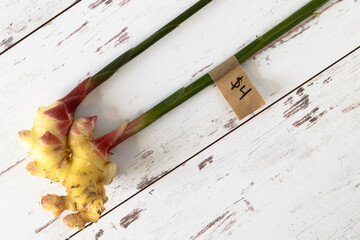 Fresh ginger from the farmers market with price tag