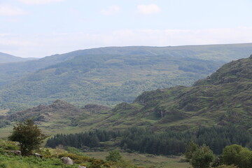 Fototapeta premium Le Parc National de Killarney, en Irlande
