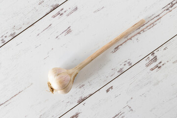 Garlic, fresh from the farmers market