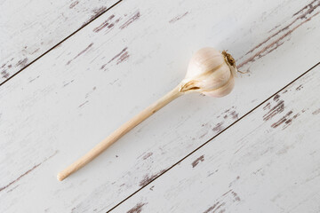 Fresh garlic from farmers market