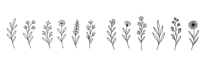Set of hand drawn minimalist flowers and botanical branches in a simple doodle line art style for elegant design elements