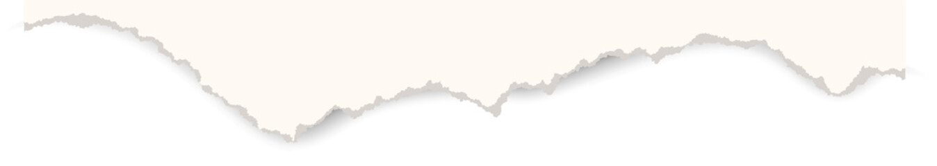 Torn paper with ripped edges. Tear piece of sheet. Notebook pages for collage and scrapbooking design. Vintage template with rough element. Realistic patch element