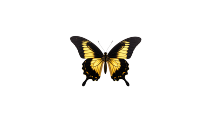 สำเนาของ ไม่มีชื่อ - 63