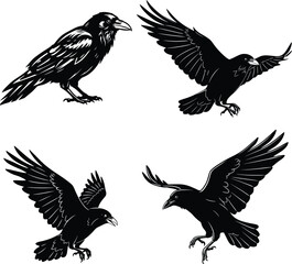 Crow and Raven Silhouettes for Creative Inspiration
