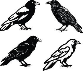 Mystical Crow Silhouettes: Symbols of Shadow and Spirit