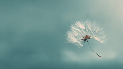 Obraz premium A single, delicate dandelion seed floating in a vast, empty space. The background is a soft, muted pastel color.
