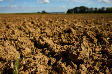 Close-up of soil and field