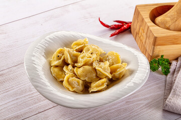 Tasty Russian dumplings with meat