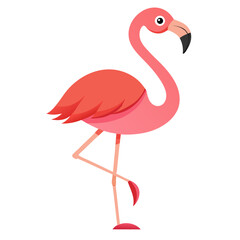Flamingo Standing Pose Vector