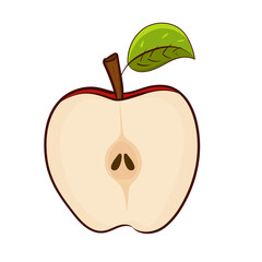 illustration of an apple