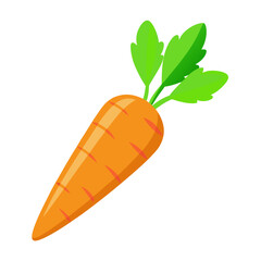 carrot vector illustration